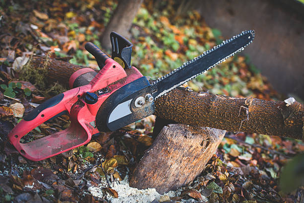 Best Firewood Processing and Delivery  in Shasta, CA